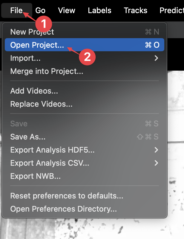 Tracking new data - SLEAP Documentation